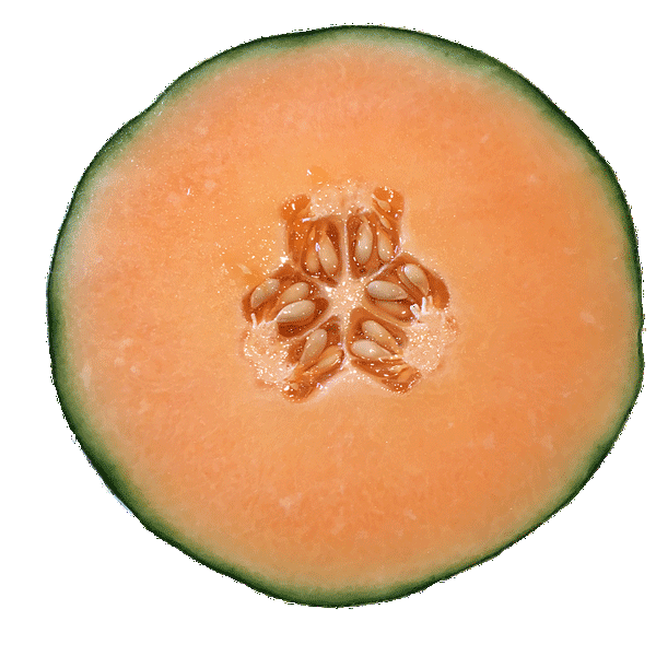 cantaloupe